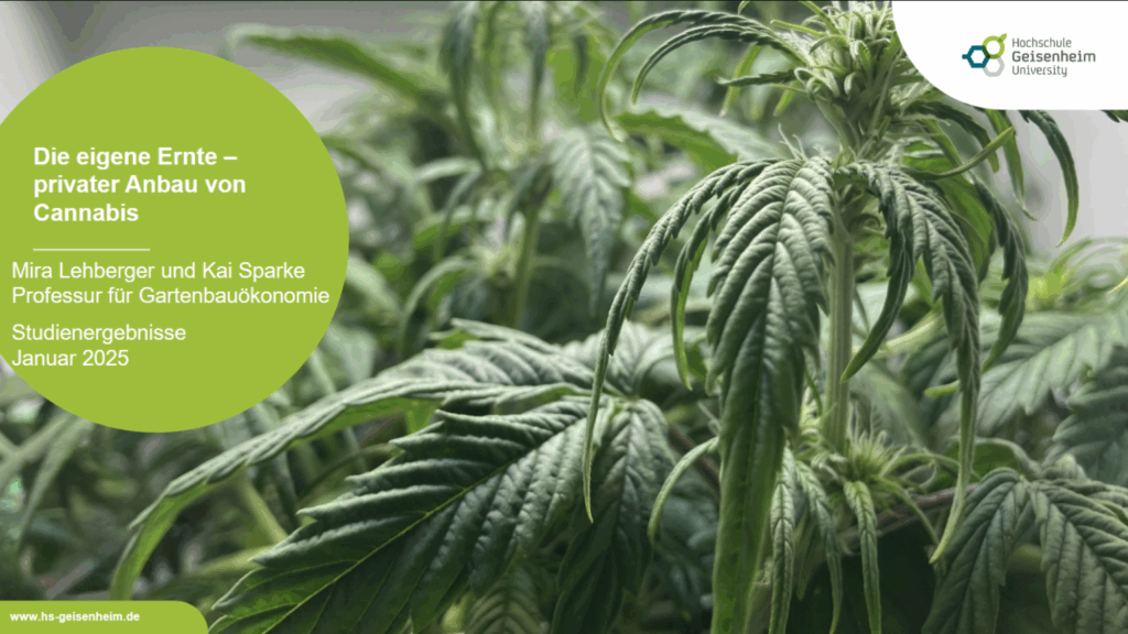 Screenshot-2025-04-30-at-11-21-25-PowerPoint-Praesentation-2025-02-01_Studie_privater_Anbau_von_Cannabis.pdf-1536x864